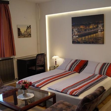 Apartment Sinko - Free Garage Parking, Central, 2 Bedrooms 4 Single Beds, Flexi Check-Out Budapesta Exterior foto